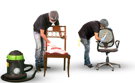 professional cleaner shampooing and scrubbbing chair upholstery using a soft brush