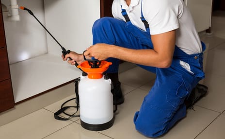 a professional cleaner cleaning an office one is mopping the floor while the other is dusting 